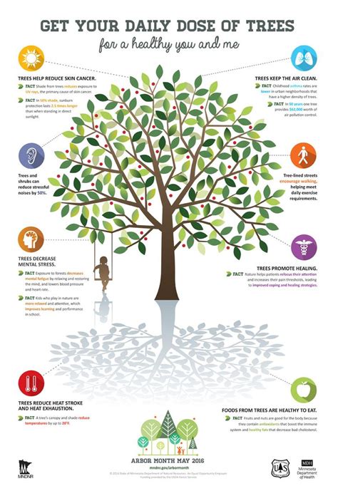 Arbor Month Celebration May 2016 Health Benefits Of Trees Infographic