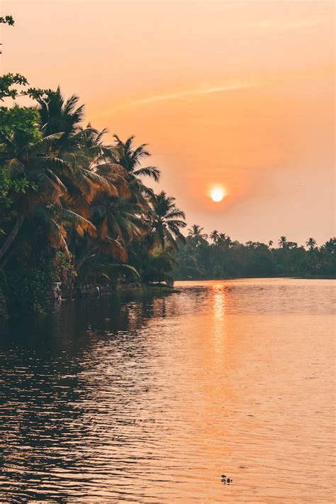 Moreover, you will be part of an interdisciplinary… 16 EPIC Things To Do In Kerala, India + BEST Places To Visit