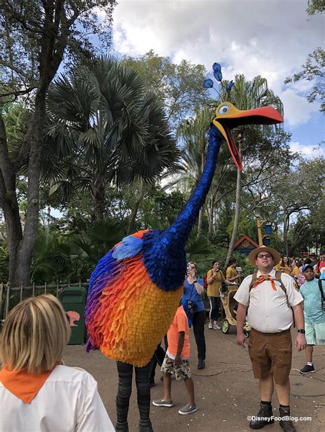 After all, they are used to dealing with all sorts of scams and empty promises. You've Got to See This!: Kevin from "Up" Lands in Animal ...