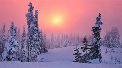 Pink Winter Sky Wallpapers Wallpaper Cave