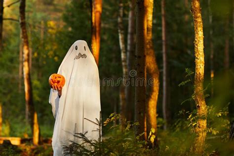 Ghost In Forest At Sunset Stock Image Image Of Outdoors 158004557