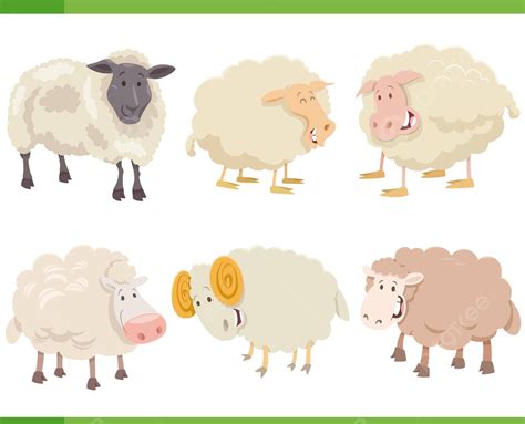 Cartoon Funny Sheep Farm Animal Characters Set Graphic Bundle Cute