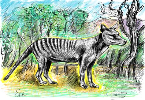 20160920 Thylacine By Evvalu On Deviantart