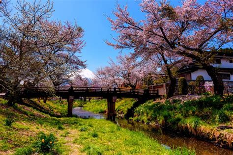 Oshino Hakkai Village And Fuji With Sakura Stock Image Image Of Cherry Mountain