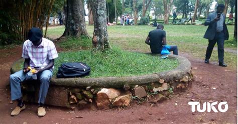 Muliro Gardens Kakamega Park Sheds Infamous Reputation Revamped By County Government Ke