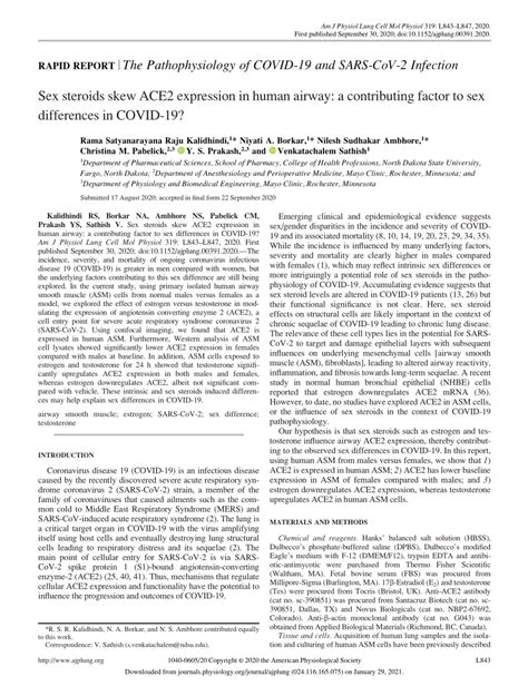 pdf sex steroids skew ace2 expression in human airway a contributing factor to sex