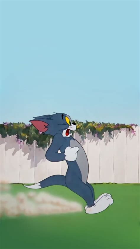 Pin by 𝕷𝖊𝖘𝖑𝖎𝖊 on Wallpapers in 2020 | Tom and jerry ...