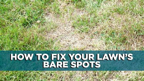 The Easy Way To Fix Bare Spots On Your Lawn Youtube