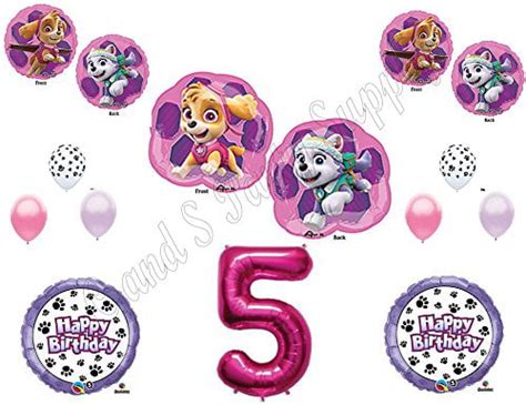 Buy 5th Paw Patrol Skye And Everest 14 Pc Birthday Balloons Decoration