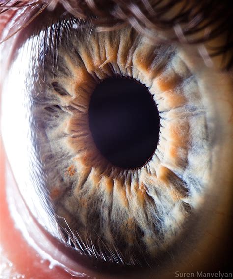 Your Beautiful Eyes Amazing Close Up Photos Of Human Eyes By Suren