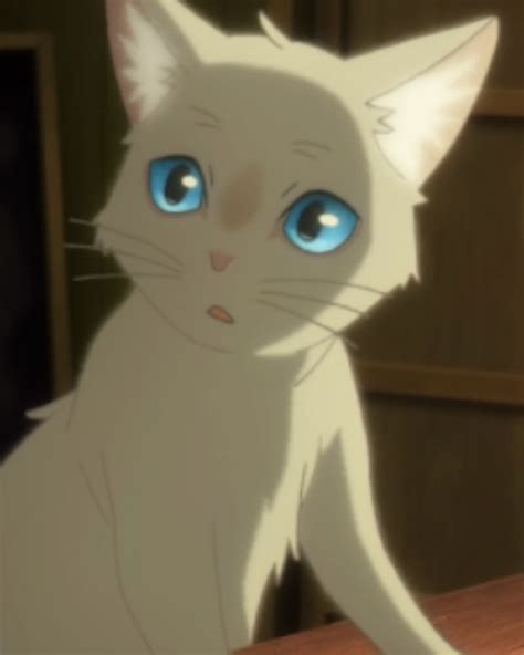 Top 50 Best Anime Cats Most Popular Of All Time Anime Cat Cat