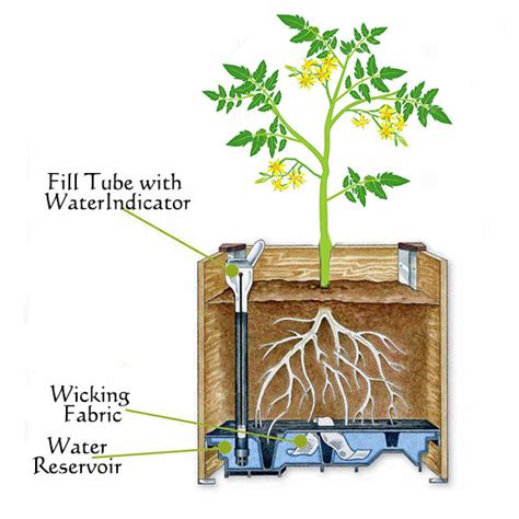 Self Watering Planter Boxes — Ecodesign