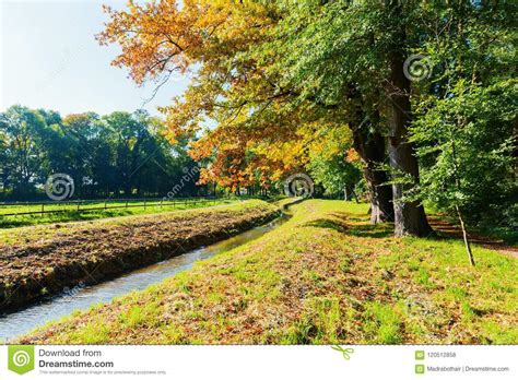 Park With A Creek In Autumn Stock Photo Image Of Colors Meadow