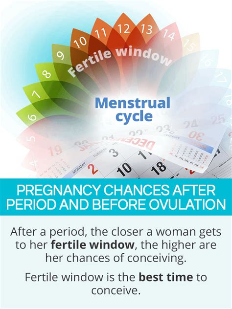 Chances Of Getting Pregnant Around Period And Ovulation Shecares
