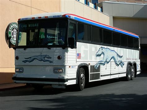 Gallery For Greyhound Bus
