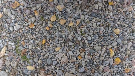 PBR Ground Pebbles Leaves 1 - 8K Seamless Texture (5 variations ...