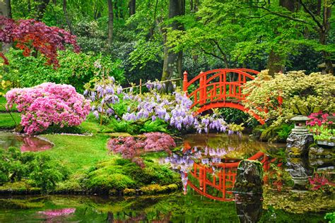 The Benefits Of Ancient Japanese Gardening Practices