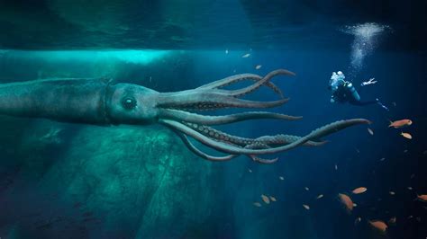 Deep Sea Gigantism Why Are Deep Sea Animals So Big Documentary
