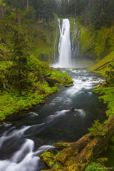 Plunge Into Green Lemolo Falls In Oregon