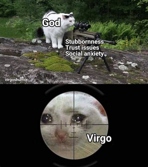 27 Funny And Relatable Virgo Memes That Are Basically Facts In 2020