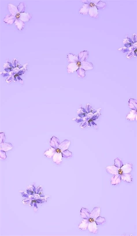 Aesthetic Lavender Flower Wallpaper Purple Aesthetic Butterfly