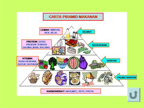Denaturasi protein perubahan struktur konformasi alamiahnya (sekunder, tertier dan kuarterner) tanpa modifikasi protein bahan makanan dalam pengolahan dan penyimpanan. WELCOME TO SANIZAMBOB'S BLOG: Piramid Makanan - Petikan 2