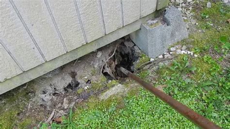 How To Fix A Sinkhole In Your Yard Reverasite