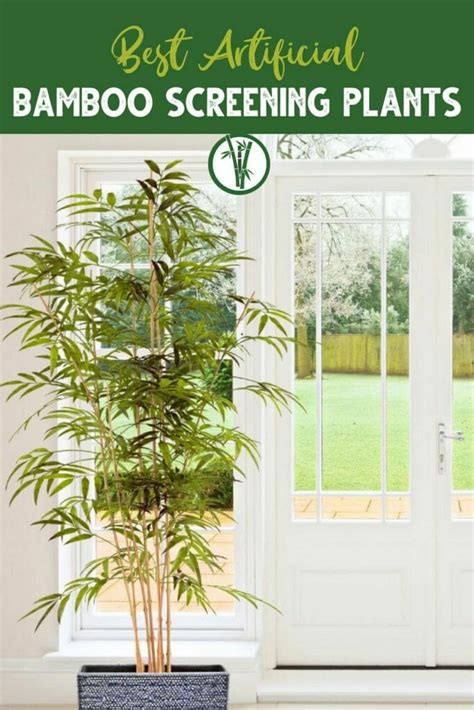 Best Artificial Bamboo Screening Plants Bamboo Plants Hq