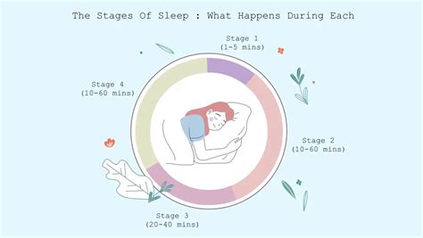 The Stages Of Sleep What Happens During Each Sleep Guides