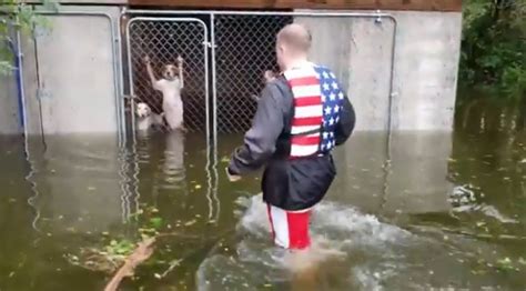 Hurricane Florence Volunteer Rescues 6 Dogs Abandoned In Locked Cage