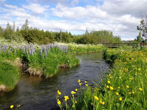 Do you want to escape the hustle and bustle of Reykjavik? Check out