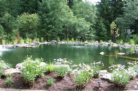 Large Pond Landscaping Ideas Decoomo