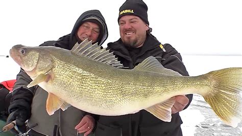 John Gillespie Catches A Monster Walleye While Ice Fishing Lake Erie