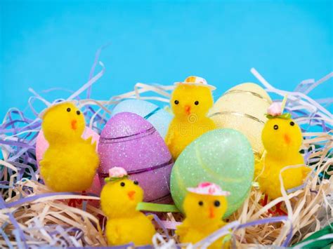 Easter Chicks And Eggs In Ncept Of The Easter Holiday And