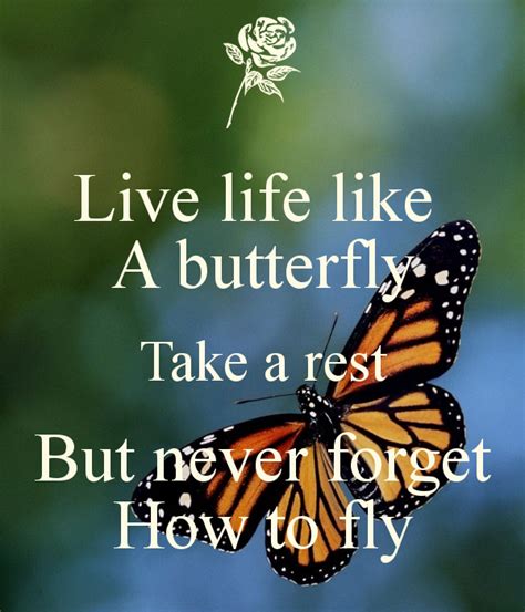 Funny Butterfly Quotes Shortquotescc