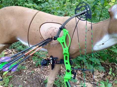 Archery 3d Shoots — The Sportsmens Club Of Clifton Park