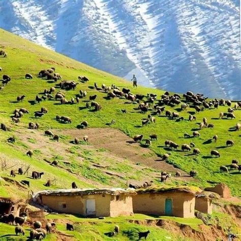 Pin By Angela Smith On Nature Scenes Of Kurdistan Iran Travel Iran