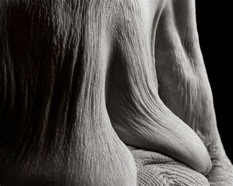 intimate portraits of people over 100 years old reveal the beauty of aging bodies human body