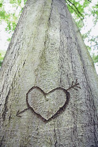 Bläddra bland 292 heart carved in tree bildbanksfoton och bilder, eller påbörja en ny sökning för att utforska fler bildbanksfoton och bilder. heart carved into tree | Tree carving heart, Tree carving ...