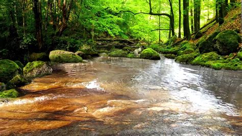 Beautiful Water Stream Cherl12345 Tamara Photo 41740727 Fanpop