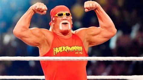 Hulk Hogan Biography Net Worth Career Age More