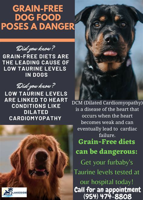 These types of foods can meet the dog's needs in smaller quantities, so you tend to use less food. Grain-Free Dog Food FDA Warning | | Lakeside Animal Hospital