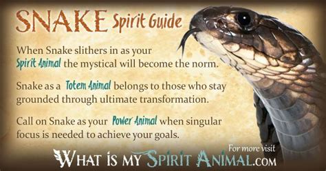Snake Spirit Totem And Power Animal Symbolism And Meaning What Is My