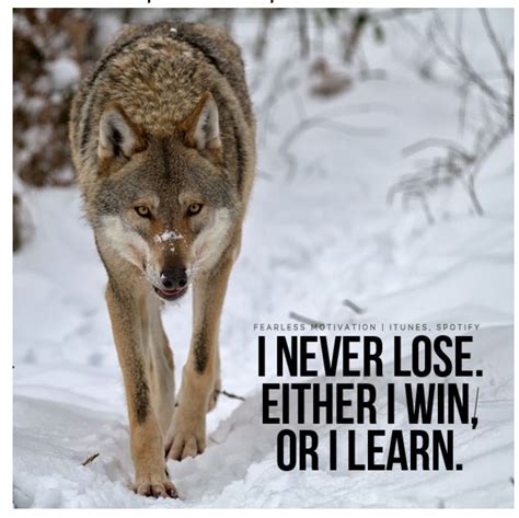 Are You Open To Learning Wolf Quotes Wolf Pack Quotes Lone Wolf Quotes