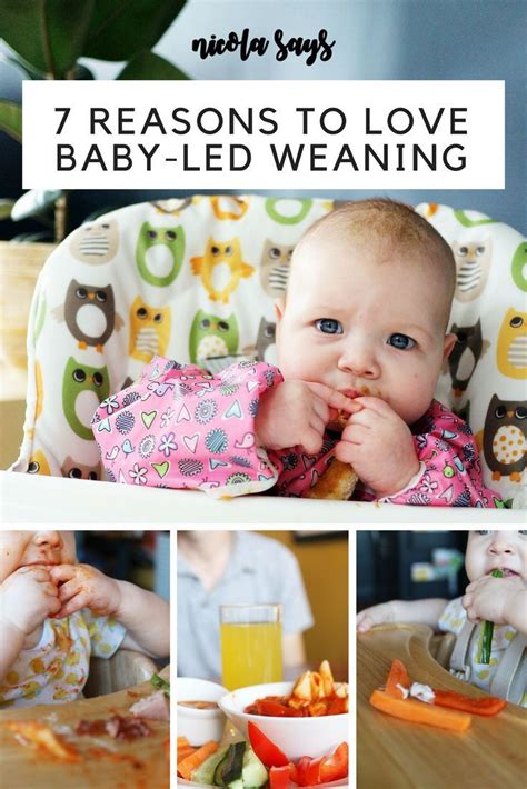 7 Things I Love About Baby Led Weaning Baby Led Weaning Baby Weaning