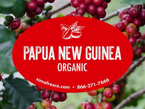 Papua New Guinea Organic Nop Enorga Coffee Beans For Sale Sonofresco