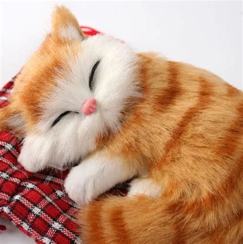 아기 사랑스러운 귀여운 작은 고양이 인형 현실적인 인형 귀여운 노래 고양이 Buy 장난감 고양이 플러시 장난감 고양이 노래
