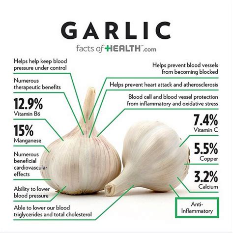 Garlic Health Benefits Creeklife