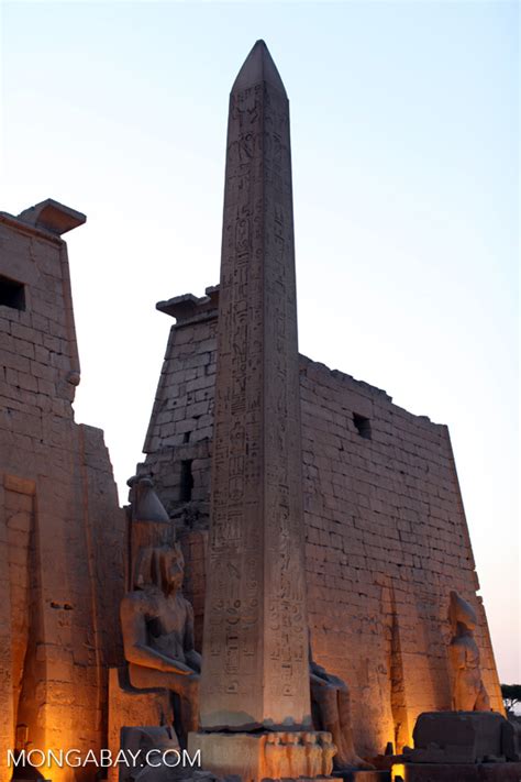 Obelisk At Luxor Temple Egypt1469