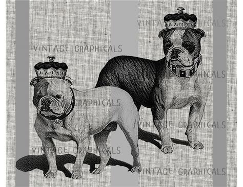 Bulldog Crown Instant Clip Art Digital Download Printable Etsy